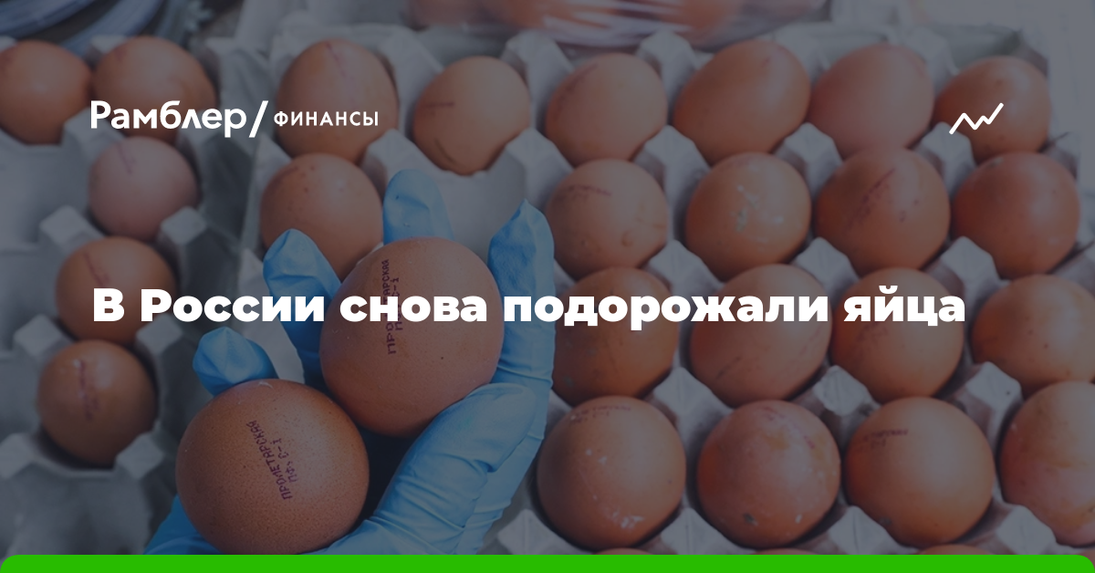 В России снова выросли цены на яйца